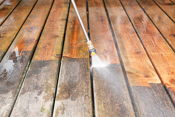 Animal Enclosure Cleaning in Scottsville, NY